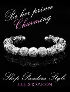 Pandora Style Medical Bracelet