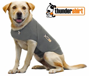 Thunder Shirt for Pet Safety